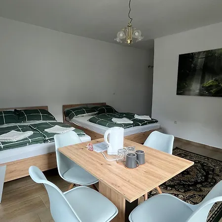 Traveler Lodging Vienna-2